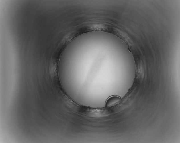 X0000115740473200911191449