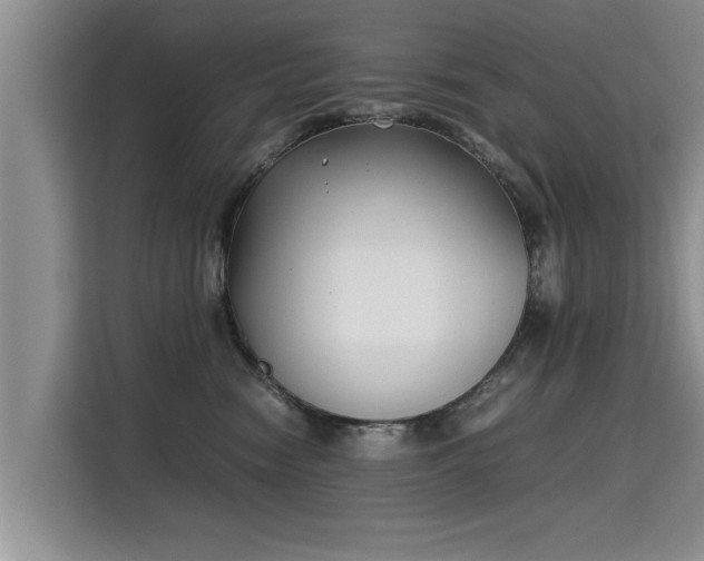 X0000115740474200911191449