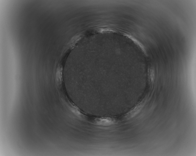 X0000115740475200911191449