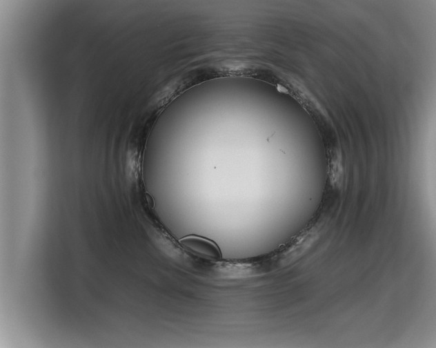 X0000115740476200911191449