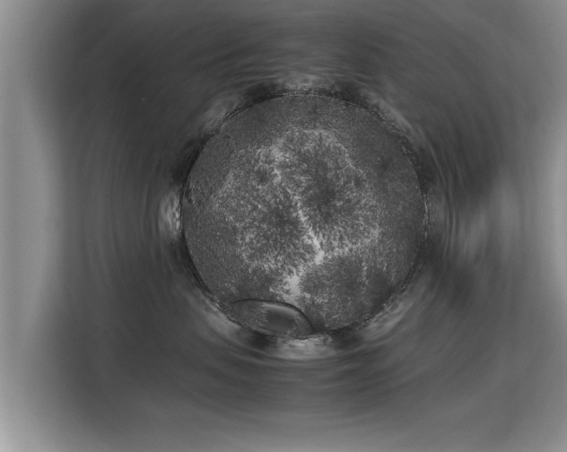 X0000115740479200911191449