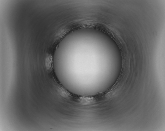 X0000115740480200911191449