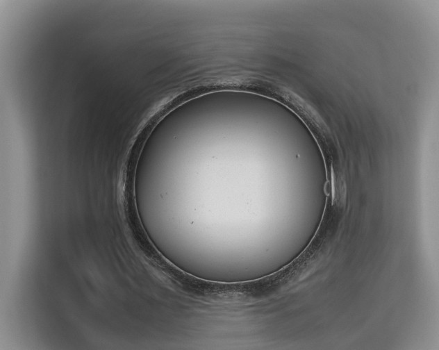 X0000115740483200911191448