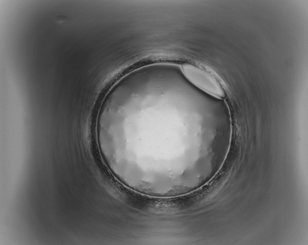 X0000115740487200911191448