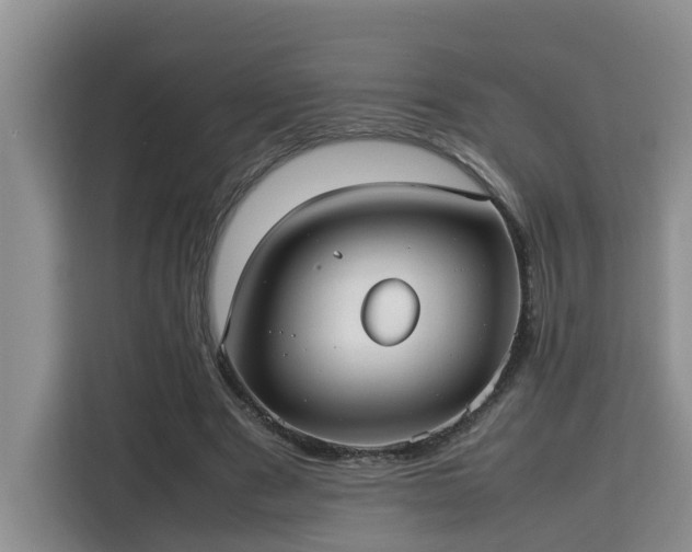 X0000115740489200911191448