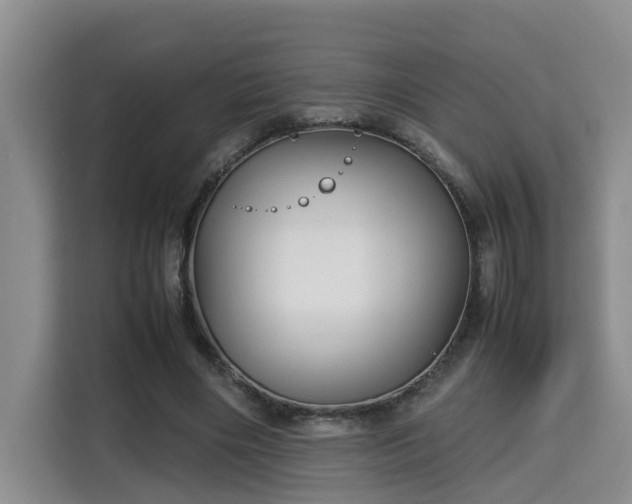 X0000115740490200911191448