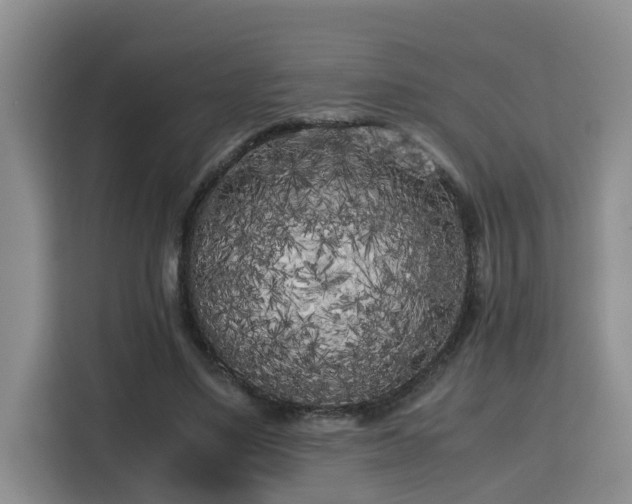 X0000115740491200911191448