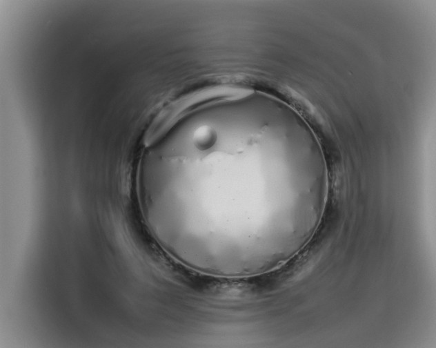 X0000115740495200911191448