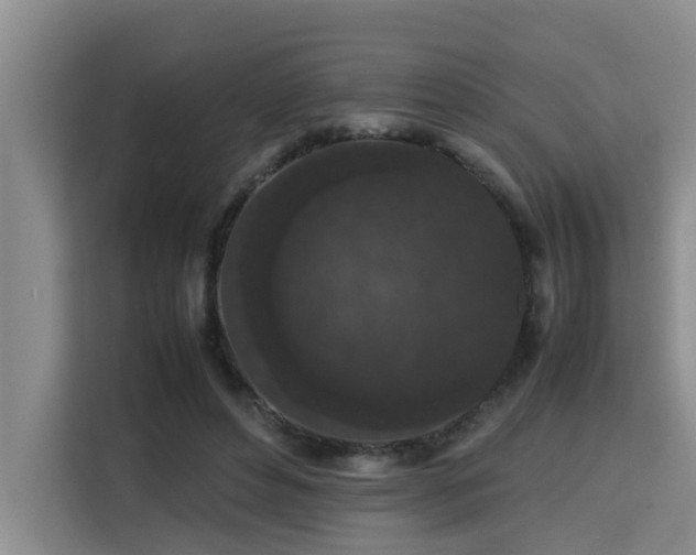 X0000115740496200911191448