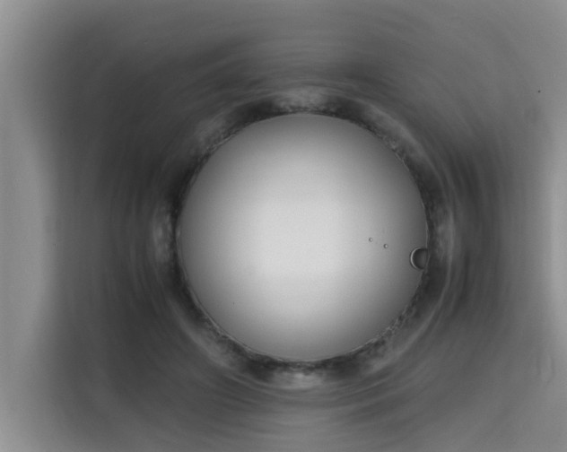 X0000115740498200911191448