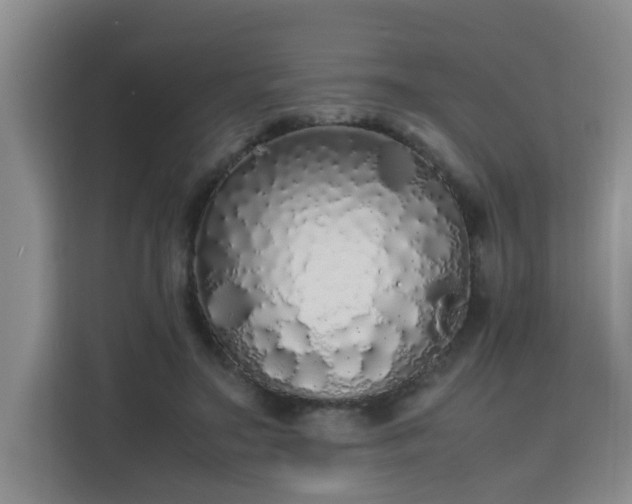 X0000115740499200911191448