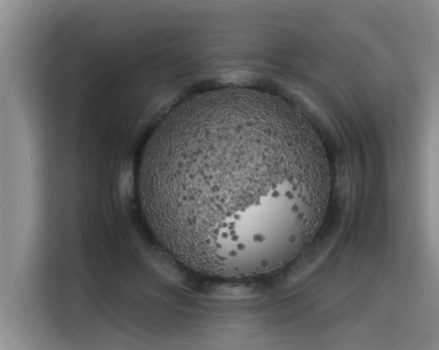 X0000115740502200911191448