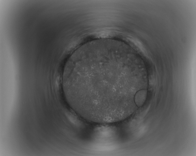 X0000115740503200911191448