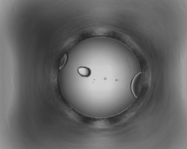 X0000115740505200911191448