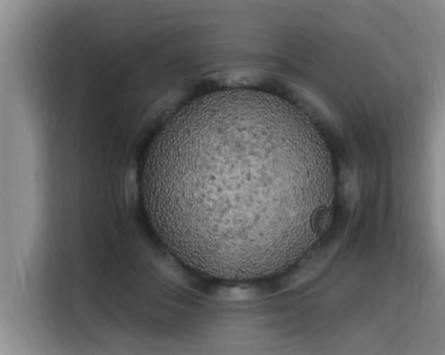 X0000115740506200911191448