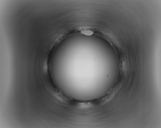 X0000115740508200911191448