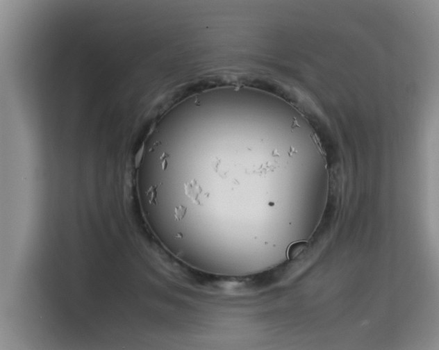 X0000115740509200911191448