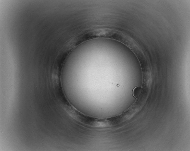 X0000115740510200911191448