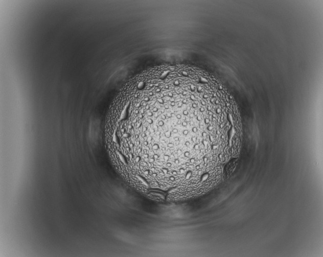 X0000115740511200911191448