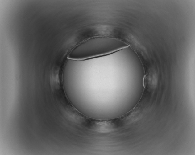 X0000115740516200911191448