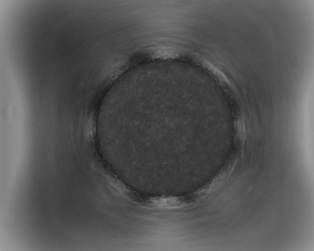 X0000115740517200911191448