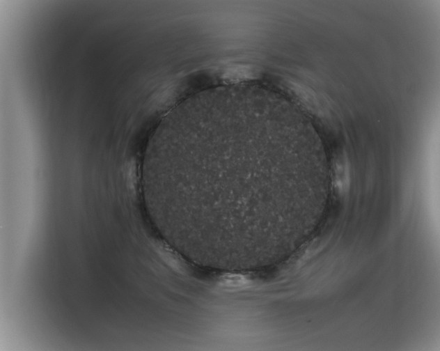 X0000115740519200911191448