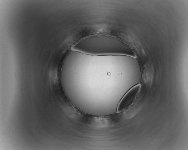 X0000115740520200911191448