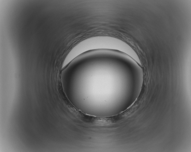 X0000115740521200911191448