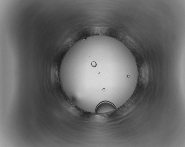 X0000115740522200911191448