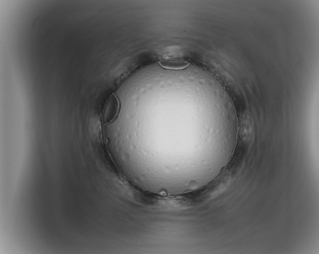 X0000115740523200911191448