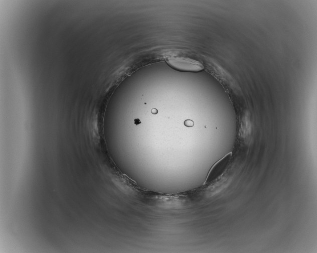 X0000115740524200911191448