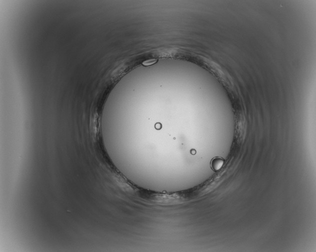 X0000115740525200911191448