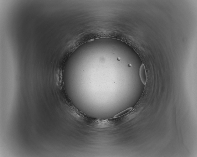 X0000115740528200911191448