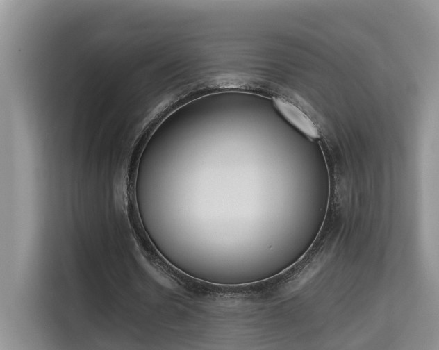 X0000115740530200911191447