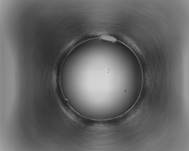 X0000115740538200911191447