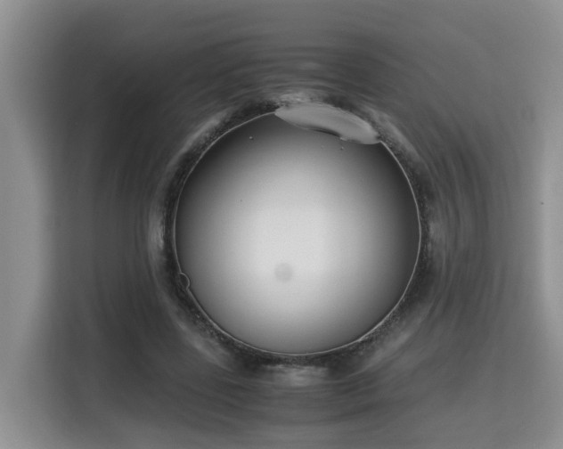 X0000115740539200911191447