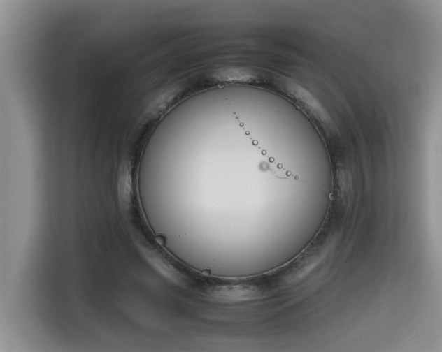 X0000115740541200911191447