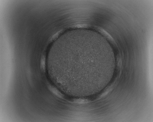 X0000115740542200911191447