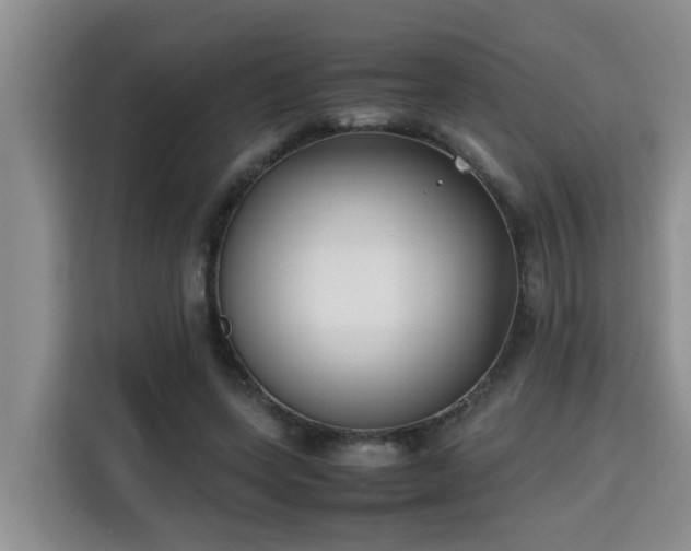 X0000115740543200911191447