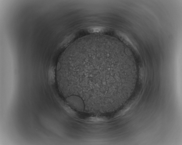 X0000115740545200911191447