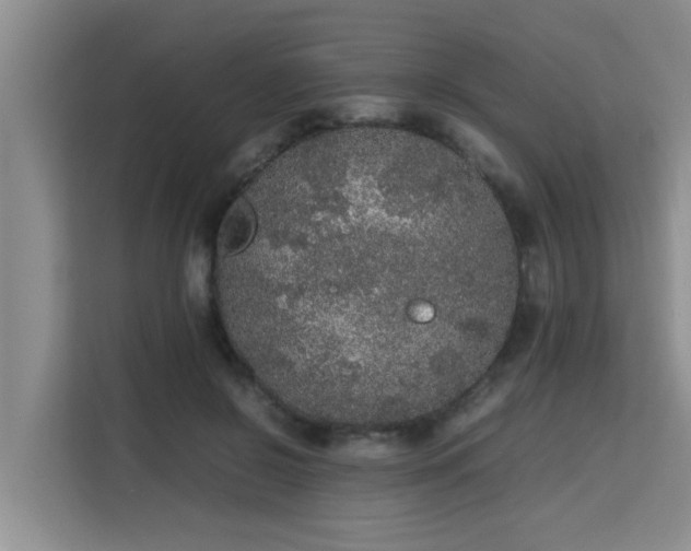 X0000115740550200911191447