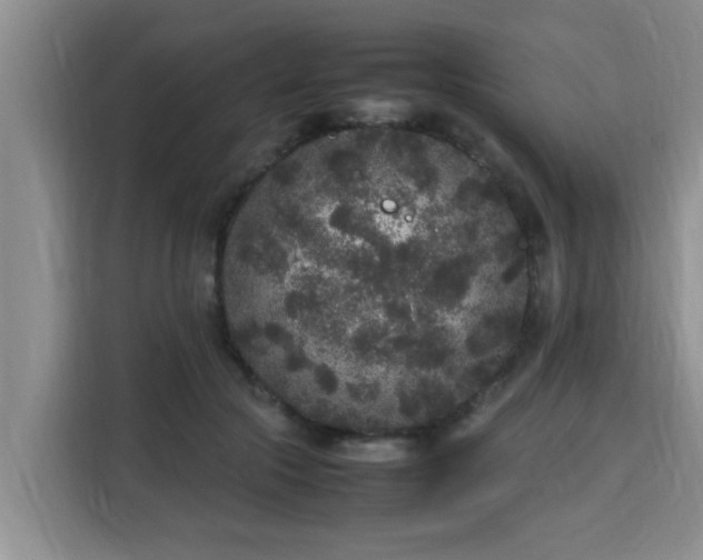 X0000115740553200911191447