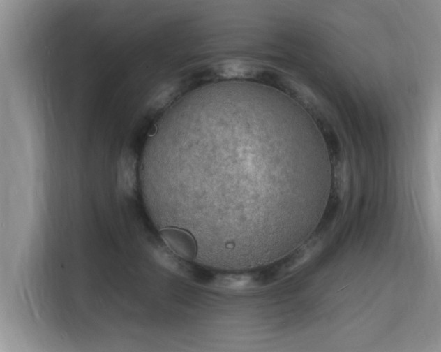 X0000115740554200911191447