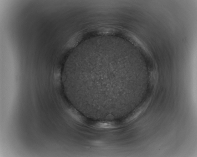 X0000115740557200911191447