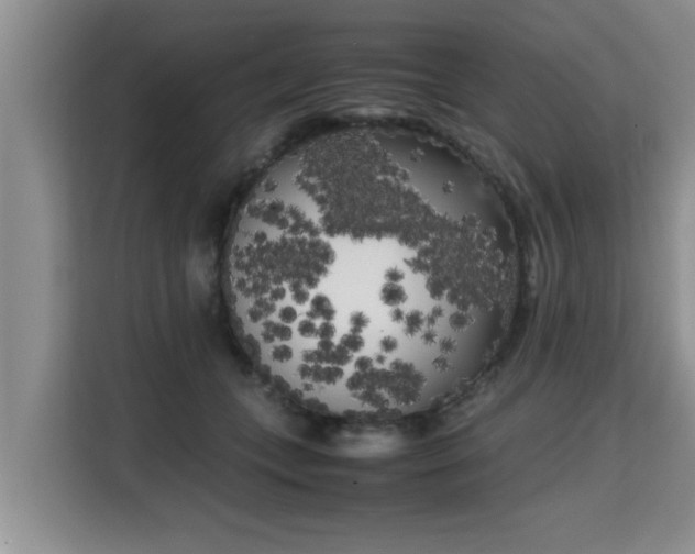 X0000115740559200911191447
