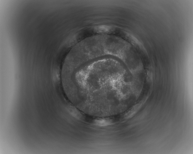 X0000115740561200911191447