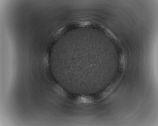 X0000115740565200911191447