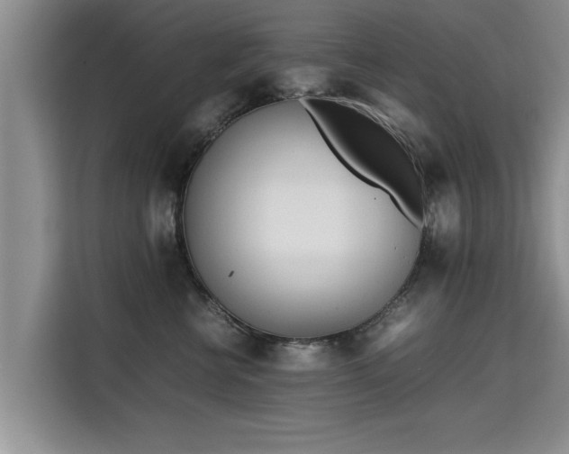 X0000115740570200911191447