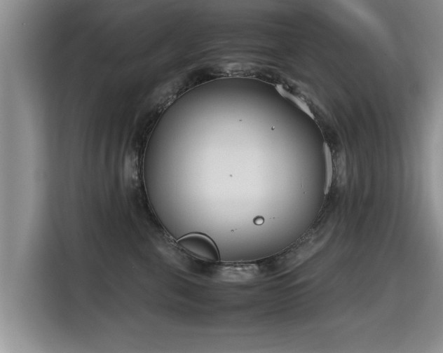 X0000115740571200911191447