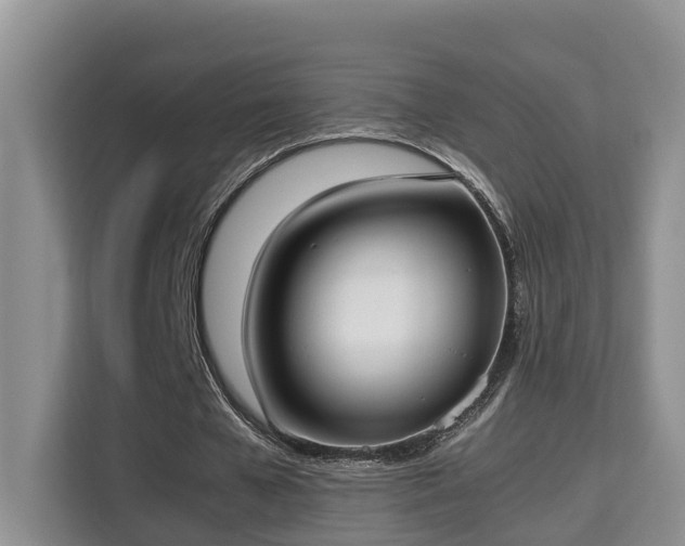 X0000115740577200911191447